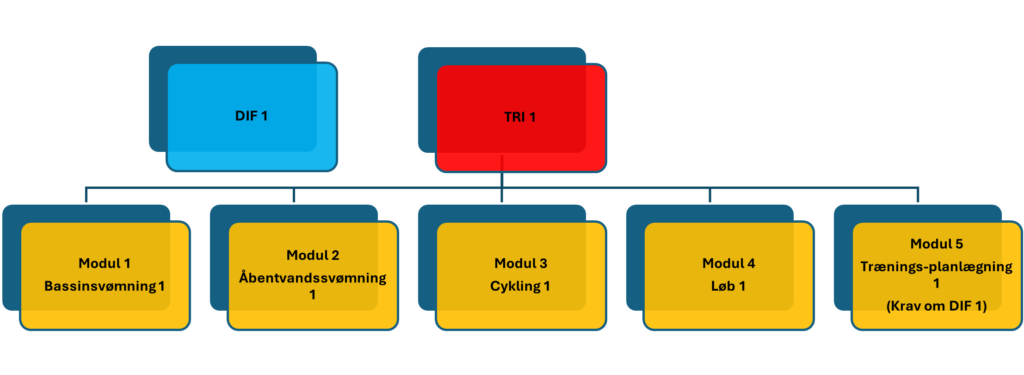 Træneruddannelsen TRI 1 